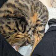 ヒメ日記 2026/03/18 11:58 投稿 あさみ 熟女の風俗最終章 沼津店