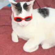 ヒメ日記 2026/03/21 15:49 投稿 あさみ 熟女の風俗最終章 沼津店