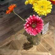 ヒメ日記 2025/04/26 19:58 投稿 さり 熟女の風俗最終章 沼津店