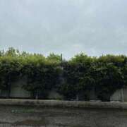 ヒメ日記 2025/04/28 16:48 投稿 さり 熟女の風俗最終章 沼津店