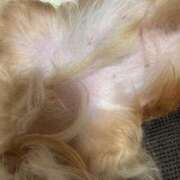 ヒメ日記 2025/05/26 17:18 投稿 さり 熟女の風俗最終章 沼津店