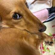 ヒメ日記 2025/08/16 20:28 投稿 さり 熟女の風俗最終章 沼津店