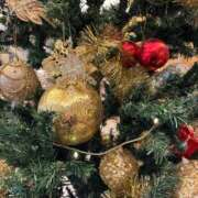 ヒメ日記 2025/12/24 18:58 投稿 さり 熟女の風俗最終章 沼津店