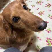 ヒメ日記 2026/01/18 19:12 投稿 さり 熟女の風俗最終章 沼津店