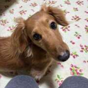 ヒメ日記 2026/01/29 15:31 投稿 さり 熟女の風俗最終章 沼津店