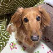 ヒメ日記 2026/03/21 09:28 投稿 さり 熟女の風俗最終章 沼津店