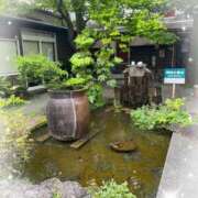 ヒメ日記 2025/04/28 11:48 投稿 ほなみ 熟女の風俗最終章 沼津店