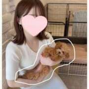 ヒメ日記 2026/04/18 23:51 投稿 風花 紫乃 横浜貴楼館