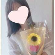 ヒメ日記 2025/04/27 01:02 投稿 風花 紫乃 東京貴楼館