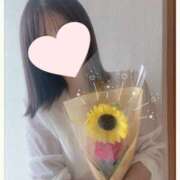 ヒメ日記 2025/05/31 02:23 投稿 風花 紫乃 東京貴楼館