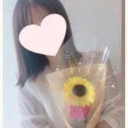 ヒメ日記 2026/02/15 21:19 投稿 風花 紫乃 東京貴楼館