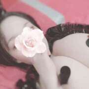 ヒメ日記 2025/04/18 00:02 投稿 なるせ ぷるるん小町梅田店