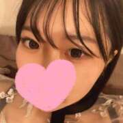 ヒメ日記 2025/07/27 23:06 投稿 そぼろ Blue Moon