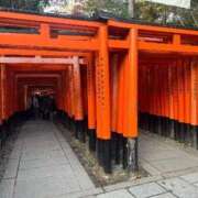 ヒメ日記 2025/10/30 17:04 投稿 のん 谷町人妻熟女奉仕倶楽部