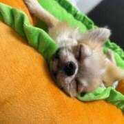 ヒメ日記 2025/11/16 14:40 投稿 のん 谷町人妻熟女奉仕倶楽部