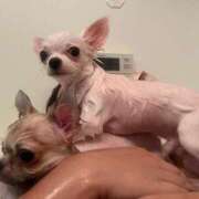 ヒメ日記 2025/11/19 11:00 投稿 のん 谷町人妻熟女奉仕倶楽部