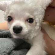 ヒメ日記 2025/12/11 07:20 投稿 のん 谷町人妻熟女奉仕倶楽部