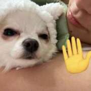 ヒメ日記 2026/02/01 14:30 投稿 のん 谷町人妻熟女奉仕倶楽部