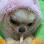 ヒメ日記 2026/03/05 16:11 投稿 のん 谷町人妻熟女奉仕倶楽部