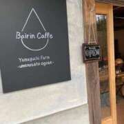 ヒメ日記 2026/03/10 15:00 投稿 のん 谷町人妻熟女奉仕倶楽部