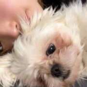 ヒメ日記 2026/04/12 18:21 投稿 のん 谷町人妻熟女奉仕倶楽部