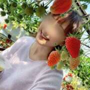 ヒメ日記 2025/04/17 14:37 投稿 丸山 ゆうき 人妻セレブ宮殿