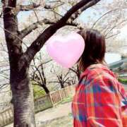 ヒメ日記 2025/04/18 14:41 投稿 丸山 ゆうき 人妻セレブ宮殿