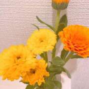 ヒメ日記 2025/04/18 18:10 投稿 丸山 ゆうき 人妻セレブ宮殿