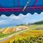 ヒメ日記 2025/04/20 02:37 投稿 丸山 ゆうき 人妻セレブ宮殿