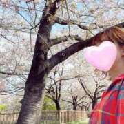 ヒメ日記 2025/04/20 14:12 投稿 丸山 ゆうき 人妻セレブ宮殿