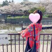 ヒメ日記 2025/04/22 22:45 投稿 丸山 ゆうき 人妻セレブ宮殿