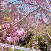 ヒメ日記 2025/04/23 01:28 投稿 丸山 ゆうき 人妻セレブ宮殿