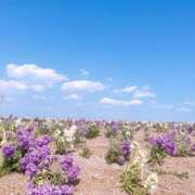 ヒメ日記 2025/04/24 00:47 投稿 丸山 ゆうき 人妻セレブ宮殿