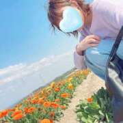 ヒメ日記 2025/04/24 15:00 投稿 丸山 ゆうき 人妻セレブ宮殿