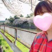 ヒメ日記 2025/04/25 14:01 投稿 丸山 ゆうき 人妻セレブ宮殿