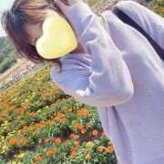 ヒメ日記 2025/04/27 04:15 投稿 丸山 ゆうき 人妻セレブ宮殿