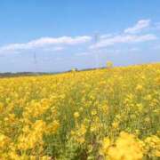 ヒメ日記 2025/04/27 12:43 投稿 丸山 ゆうき 人妻セレブ宮殿