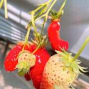 ヒメ日記 2025/04/28 14:25 投稿 丸山 ゆうき 人妻セレブ宮殿