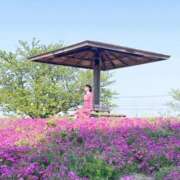 ヒメ日記 2025/05/06 13:57 投稿 丸山 ゆうき 人妻セレブ宮殿