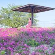 ヒメ日記 2025/05/06 14:51 投稿 丸山 ゆうき 人妻セレブ宮殿