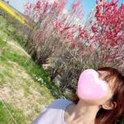 ヒメ日記 2025/05/11 14:01 投稿 丸山 ゆうき 人妻セレブ宮殿