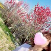 ヒメ日記 2025/05/11 21:16 投稿 丸山 ゆうき 人妻セレブ宮殿