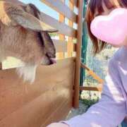 ヒメ日記 2025/05/16 14:07 投稿 丸山 ゆうき 人妻セレブ宮殿