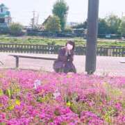 ヒメ日記 2025/05/16 22:05 投稿 丸山 ゆうき 人妻セレブ宮殿