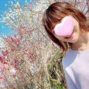 ヒメ日記 2025/05/19 12:13 投稿 丸山 ゆうき 人妻セレブ宮殿