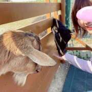 ヒメ日記 2025/05/19 15:30 投稿 丸山 ゆうき 人妻セレブ宮殿