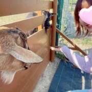 ヒメ日記 2025/05/19 17:30 投稿 丸山 ゆうき 人妻セレブ宮殿