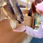 ヒメ日記 2025/05/19 19:30 投稿 丸山 ゆうき 人妻セレブ宮殿