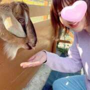 ヒメ日記 2025/05/19 21:30 投稿 丸山 ゆうき 人妻セレブ宮殿