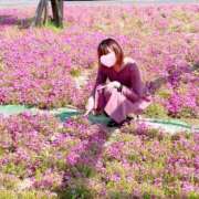 ヒメ日記 2025/05/25 21:30 投稿 丸山 ゆうき 人妻セレブ宮殿